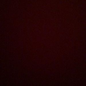 Meet your Posher, Evie